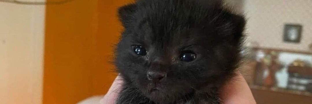 Lisette Farèle🇧🇯🥰🇳🇬 banner