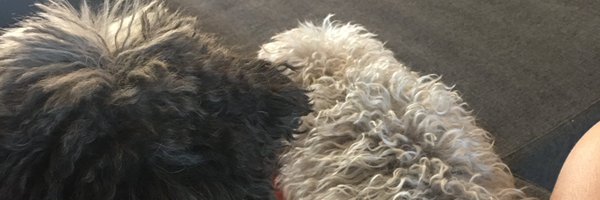 lauraretorn Profile Banner