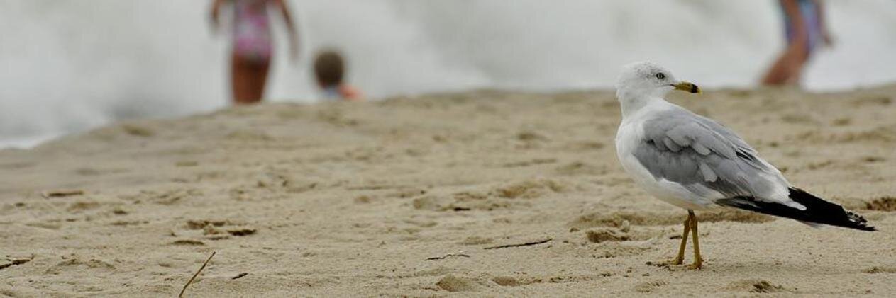 vinnhotel's profile banner image