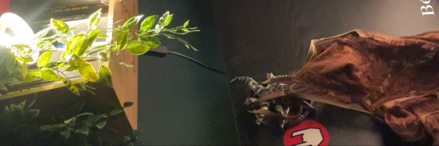 jadbndt's profile banner image
