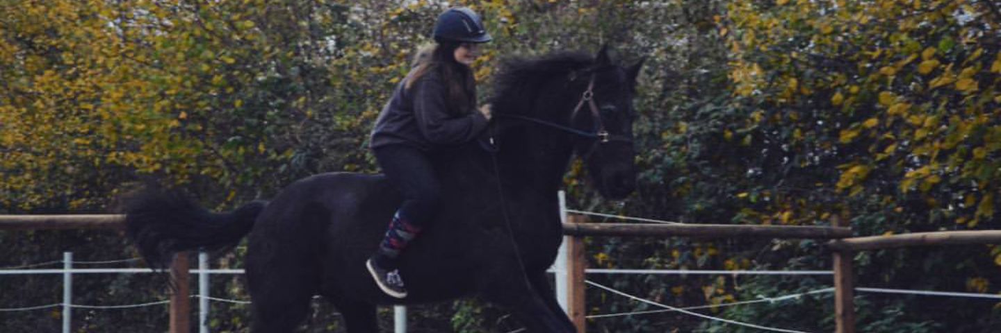 Mareike007's profile banner image