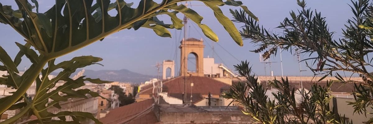 AFKave's profile banner image