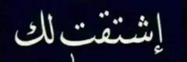 فحل الحضرمي في شرورة banner