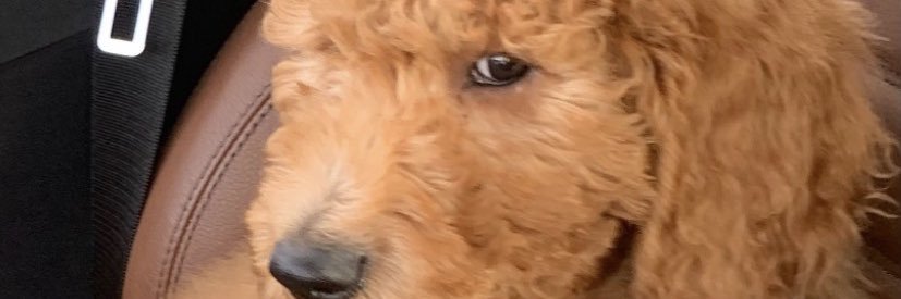 lizphaaam's profile banner image
