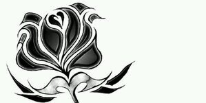 beratyesil's profile banner image
