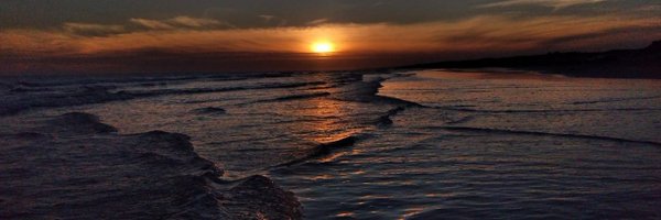 gavatellift Profile Banner