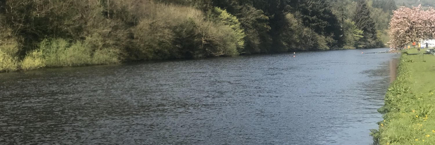 Tom Finn banner