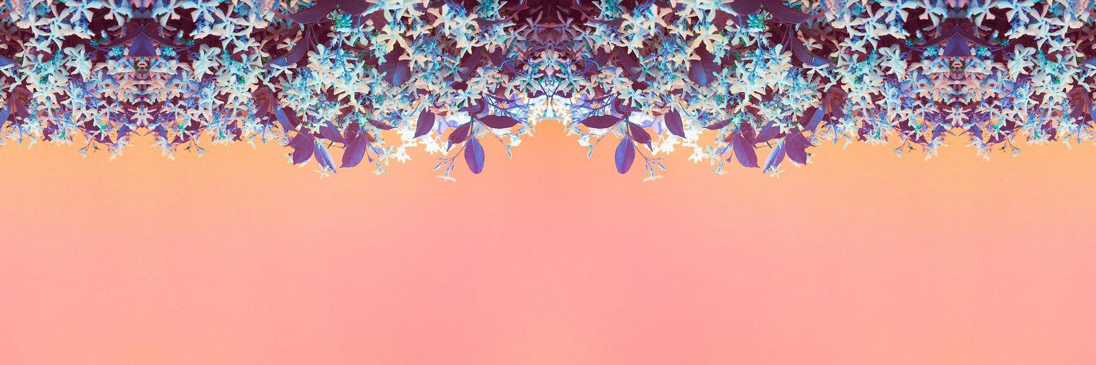 mmezzab's profile banner image