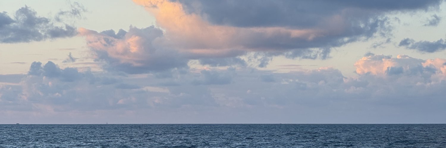 Karlsefvi's profile banner image