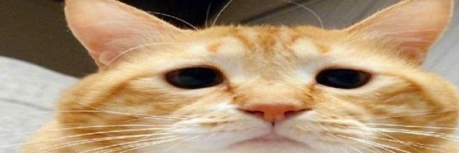 kitsudoki's profile banner image