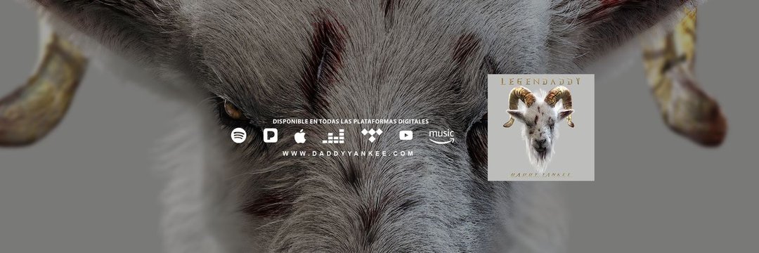 dymfcbrasil's profile banner image