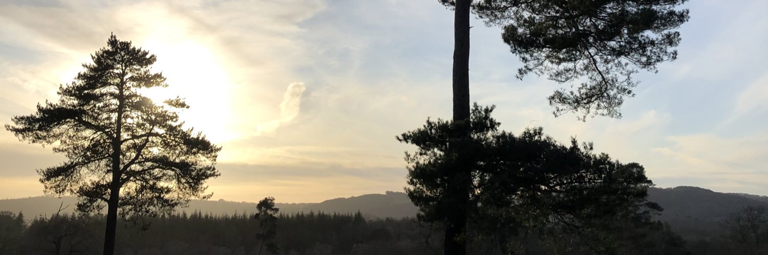 cigaskell's profile banner image