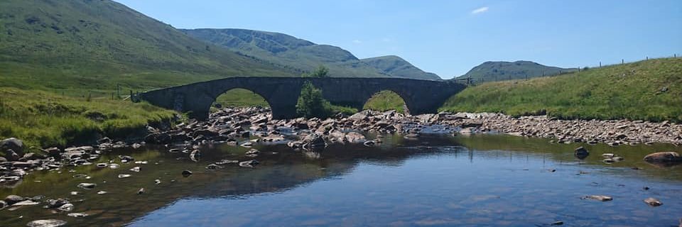 Steven Thomson banner