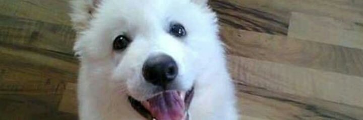 POFmaster's profile banner image