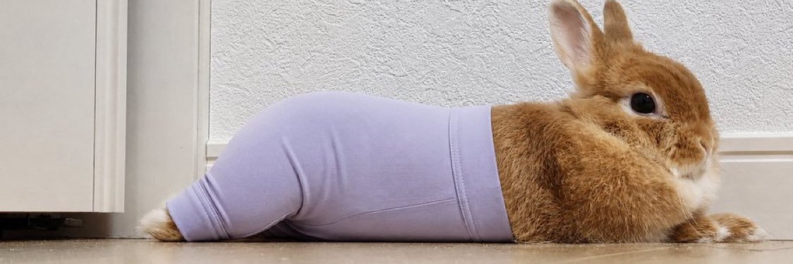 jackshitisfat's profile banner image