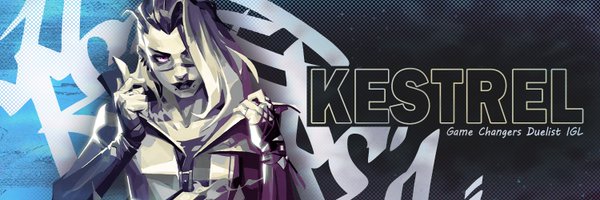 KestrelFPS Profile Banner