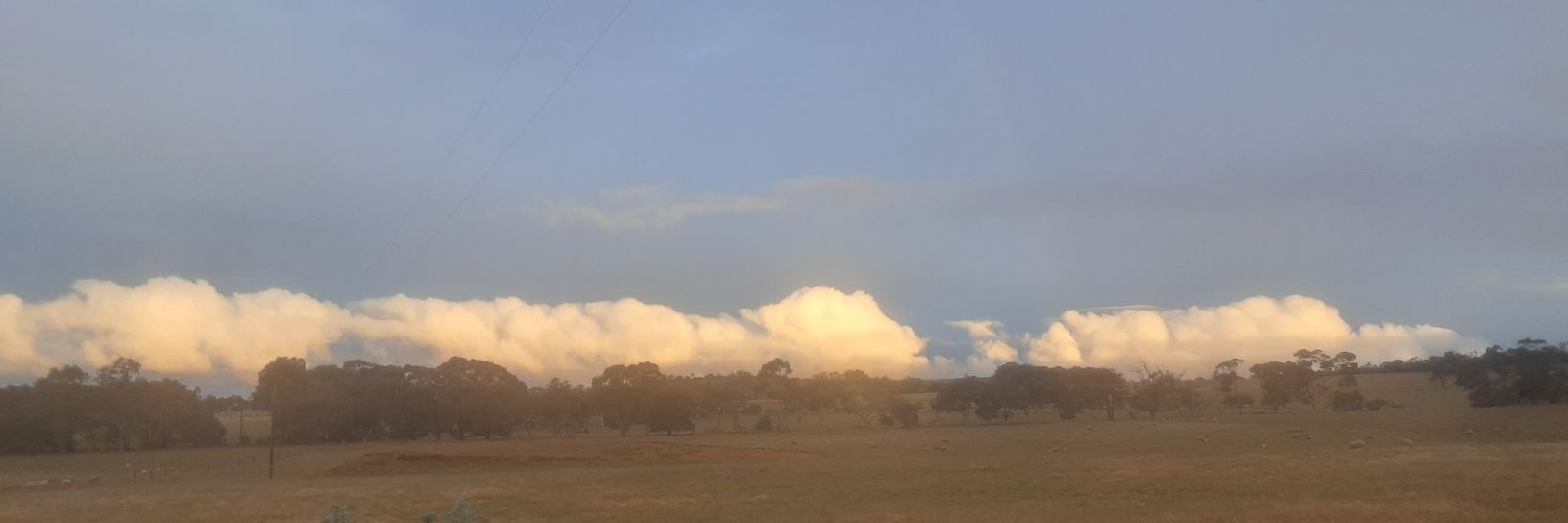 Marie, political tragic banner