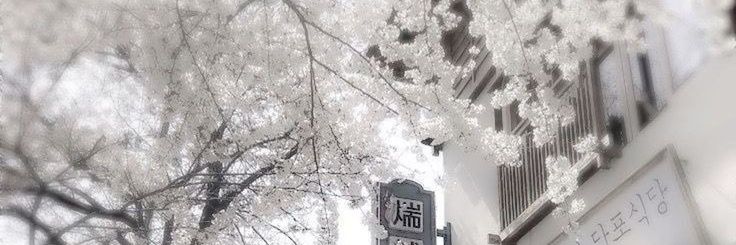 🥛 ⟡˚ ݁⋆˖₊.𓂃 banner