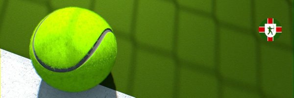 ltanotts Profile Banner