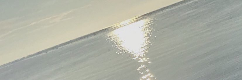 ただの普通のREИ banner