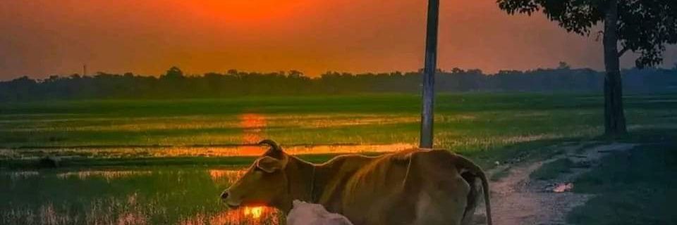 Manoj Barwad banner