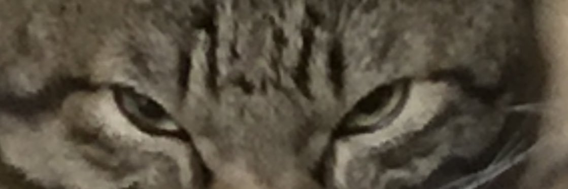 NORiSiO__05's profile banner image