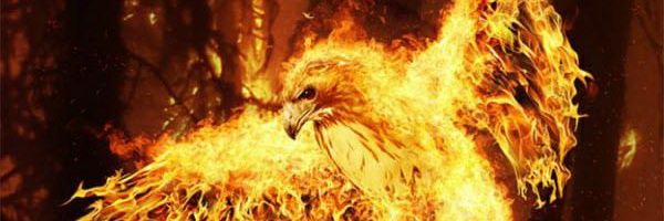 FizzySpicey's profile banner image