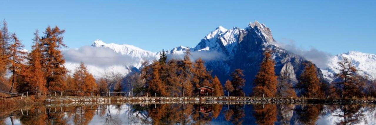 Pierre Guédon banner