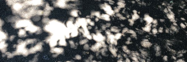 Mayamnc Profile Banner
