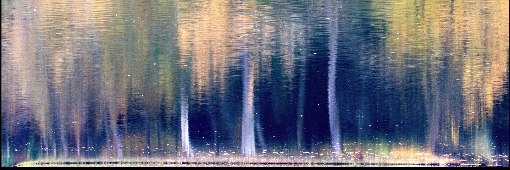 moorbarton's profile banner image