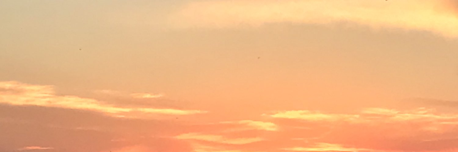 silgnzalez's profile banner image