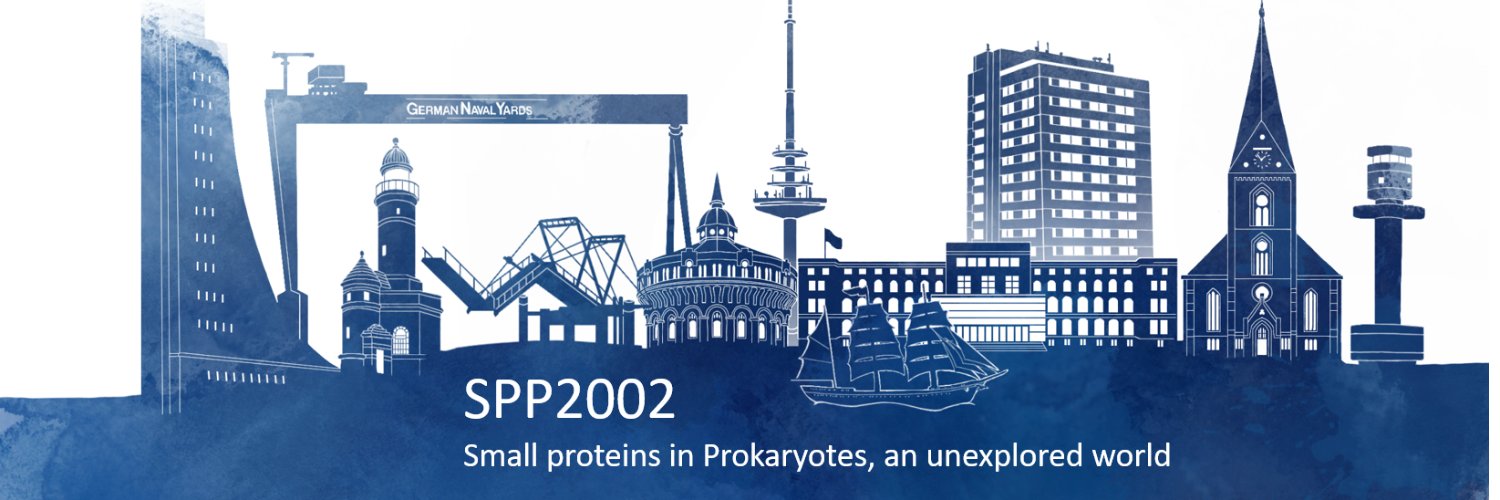 SPP2002 banner