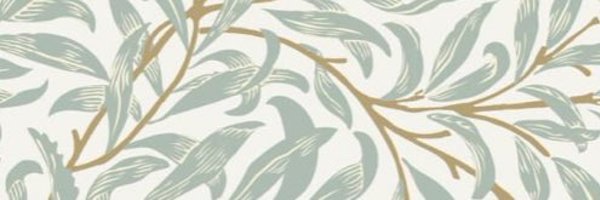 SuziCooksonSLT Profile Banner