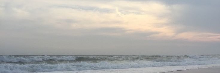 y banner