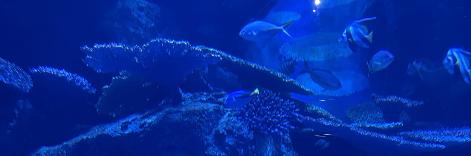 💜 banner