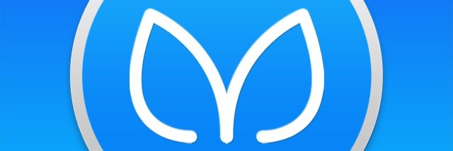 Jose guadalupe banner