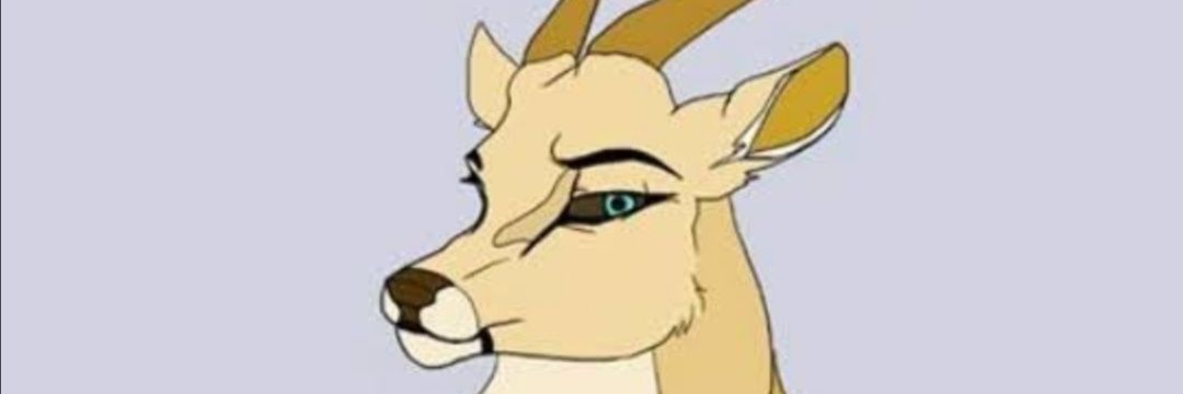 JacklivpoolA's profile banner image