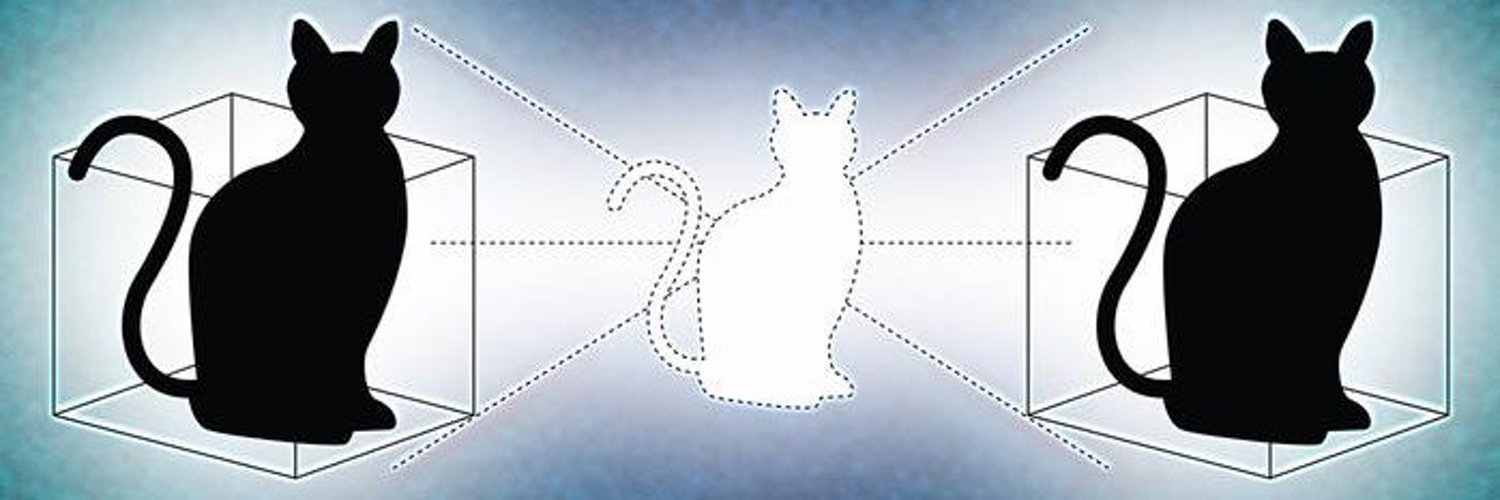Cat In A Box Profile Banner