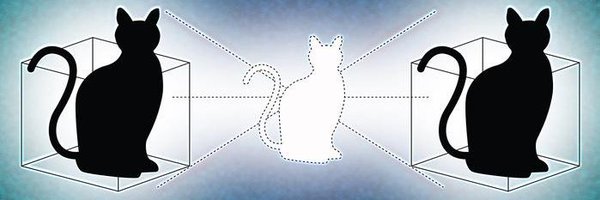 Cat_In_A_Box Profile Banner