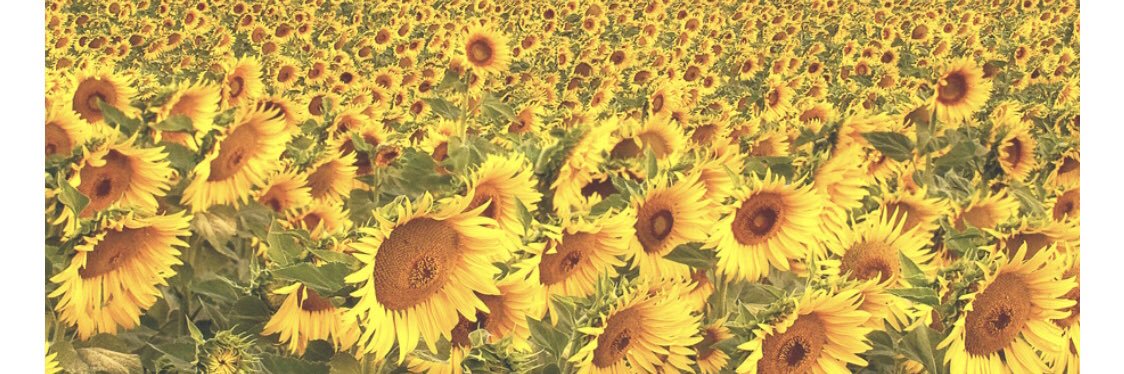 Gabriella Calagiovanni banner