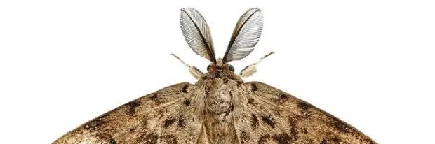 cool guy with good opinions banner