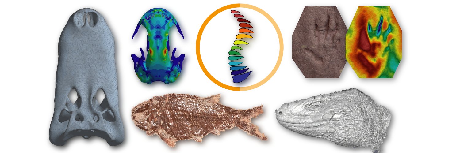 Computational Biomechanics -Life History Evolution banner