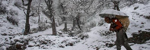 mera__mawar Profile Banner