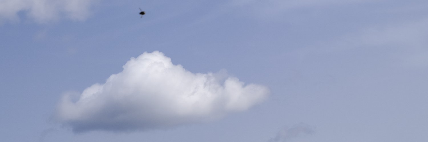 shtnft's profile banner image
