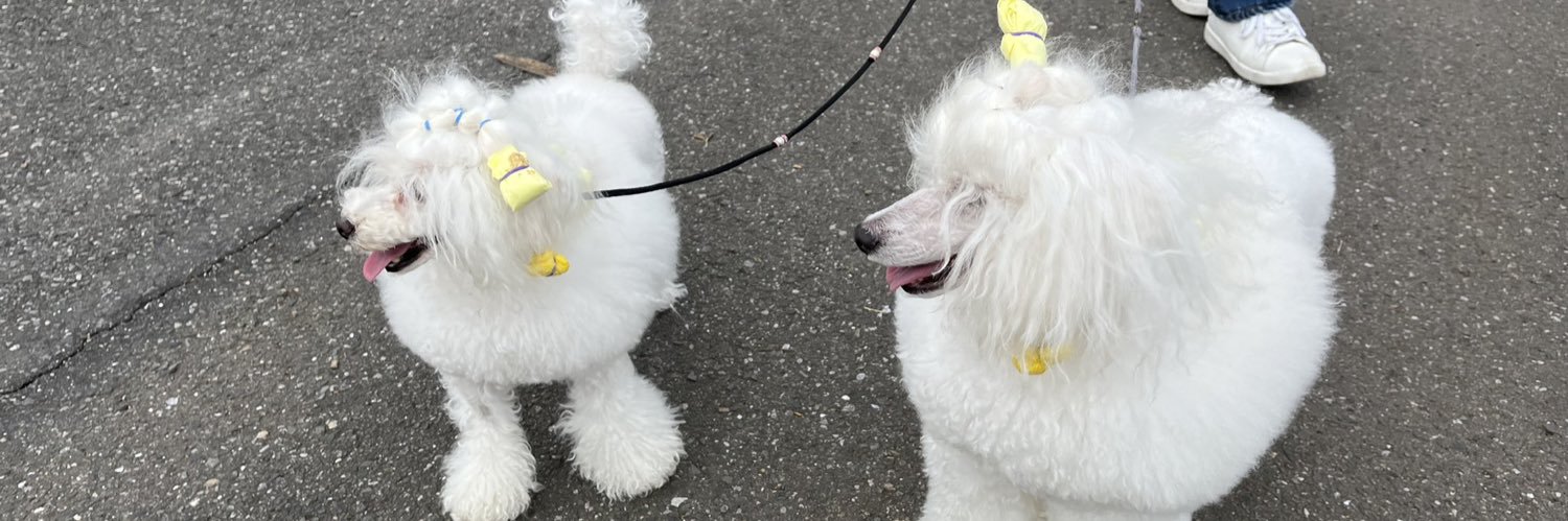 ふぉくす♪ @エッオー！🫛🦊🎩🎷⛄️GT banner