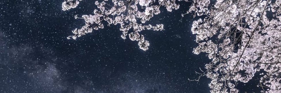 Navy_kuro's profile banner image