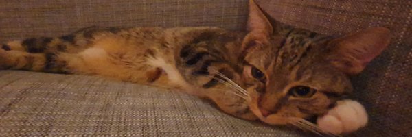 TXPG75 Profile Banner