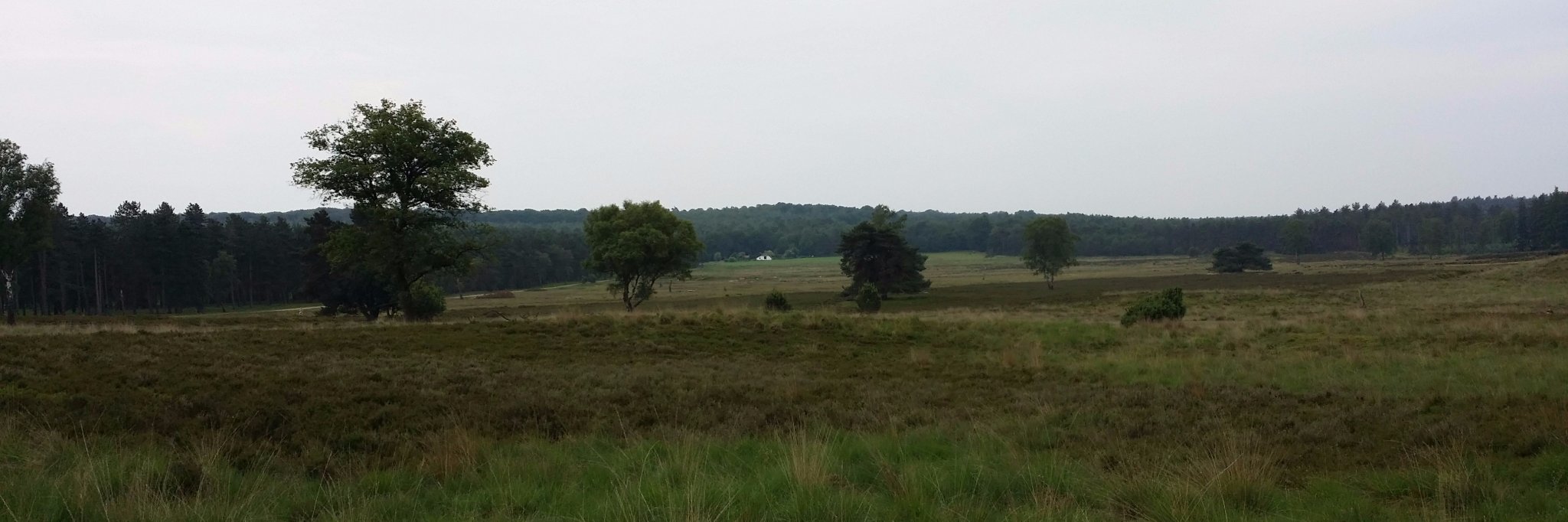 MaudvanBraam's profile banner image