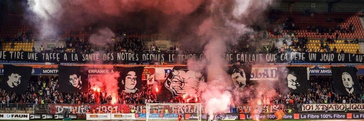 mouche🪰 banner