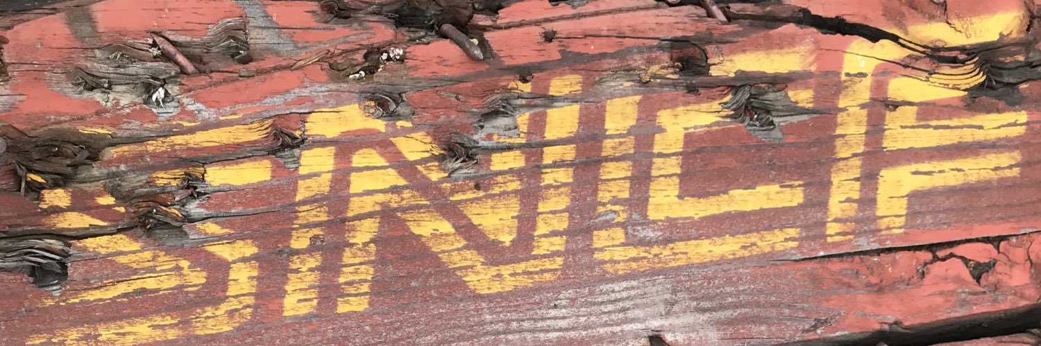 Francesca Aceto banner